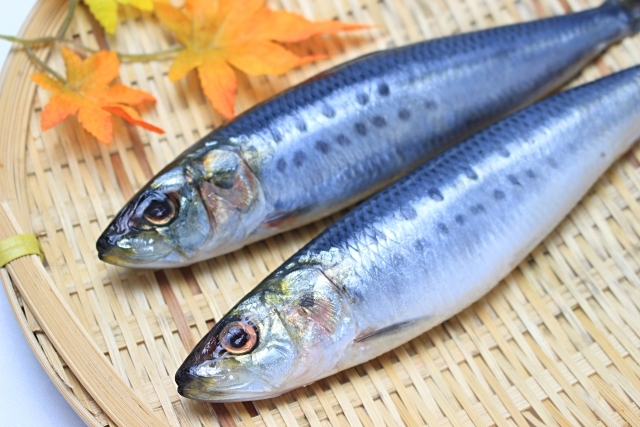栄養価の高い青魚はコストも低くて家計が助かる