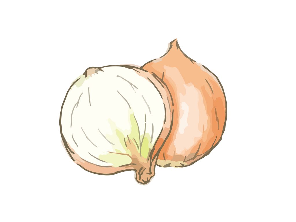 節約料理におすすめの食材『玉ねぎ』