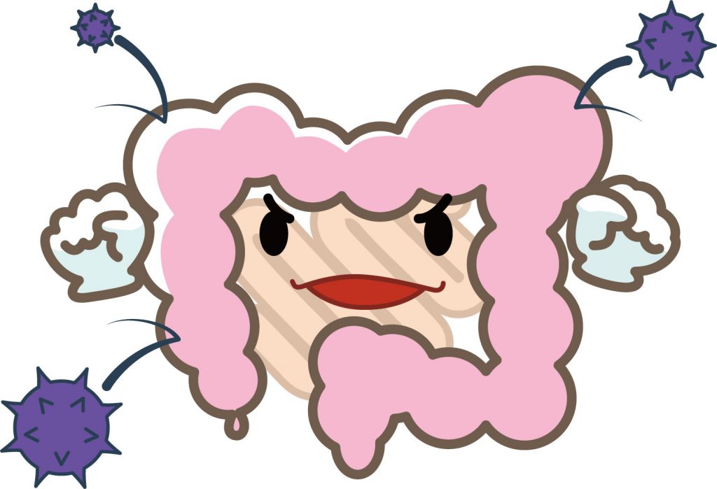 下痢や便秘を起こしやすい腸内