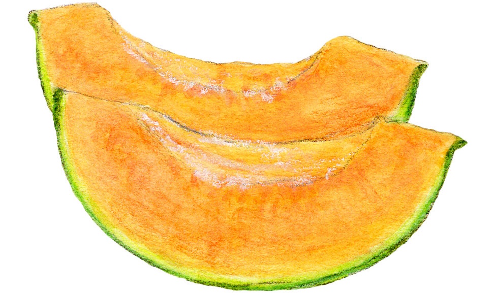 ふるさと納税でもらったメロン